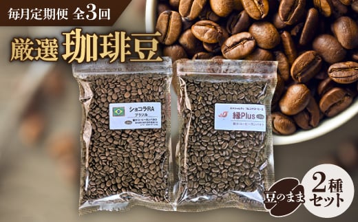 ＜毎月定期便＞お楽しみ　厳選珈琲豆100g(豆のまま)×2種類セット全3回【4004562】 1109232 - 愛知県安城市