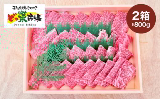 2881 A5ランク鹿児島産黒毛和牛バラカルビ焼肉木箱 800g 400g×2箱 KN010-005-02 2005991 - 鹿児島県鹿屋市