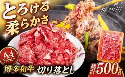 [A4〜A5 等級]博多和牛 切り落とし 500g [ヒサダヤフーズ]那珂川市 