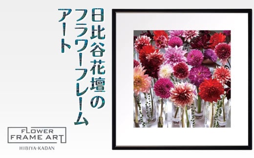 日比谷花壇のフラワーフレームアート Metropolitan Dahlias（メトロポリタンのダリア） ソフケン アルミフレーム 25x25cm 2101097 - 千葉県白井市