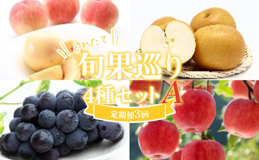 ≪数量限定 期間限定≫とれたて旬果巡り4種セットA 白桃と和梨 ピオーネ サンふじりんご 定期便【全3回】 FSY-2225