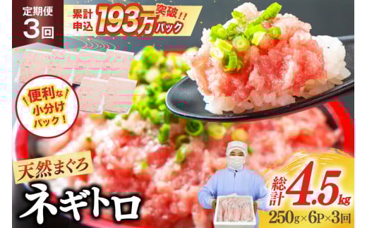 【ZIP!で紹介】天然まぐろ使用 ネギトロ 定期便 250g 6パック 計1.5kg 3回 総計4.5kg [マルハニチロオーシャン 静岡県 吉田町 22424605] ねぎとろ ネギトロ丼 手巻き寿司 まぐろたたき 天然 まぐろ マグロ 鮪 めばち きはだ 冷凍 魚介 海鮮 ねぎトロ レビューキャンペーン