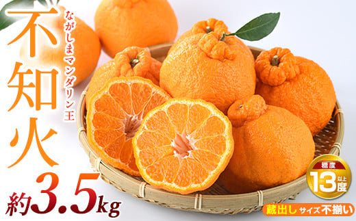 【蔵出し】熟成ながしまマンダリン王（紅不知火）数量限定 約3.5kg