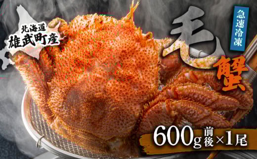 【北海道雄武町産】毛がに(冷凍)(600g前後×1)