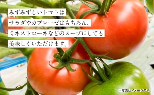 アイテムID:362416の画像2枚目
