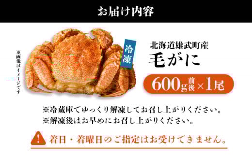 【北海道雄武町産】毛がに（冷凍）(600g前後×1)