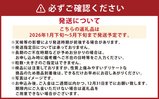 アイテムID:362416の画像4枚目