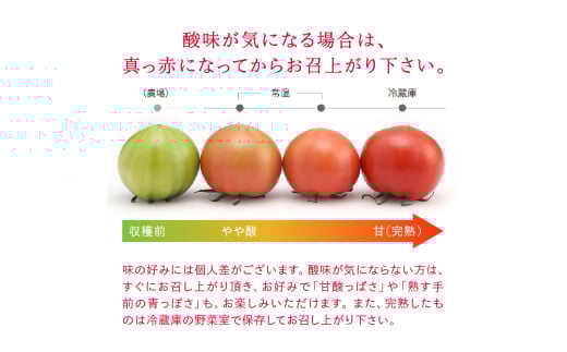 アイテムID:362413の画像5枚目
