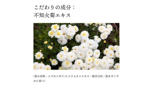 熊本県宇城市のふるさと納税 ドモホルンリンクル 日焼け止め 光対策ドレスクリーム＜日中クリーム＞ 25g(約75日分)