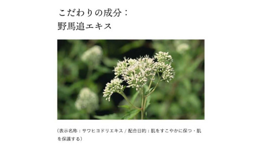 熊本県宇城市のふるさと納税 ドモホルンリンクル 日焼け止め 光対策ドレスクリーム＜日中クリーム＞ 25g(約75日分)