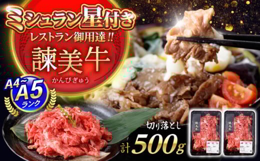 【特Aのブランド米で育てた】諫美牛 切り落とし 500g(250g×2) / 牛肉 ぎゅうにく 和牛 牛 肉 国産 切り落とし 切り落し 切りおとし / 諫早市 / 株式会社土井農場 [AHAD090] 1536670 - 長崎県諫早市