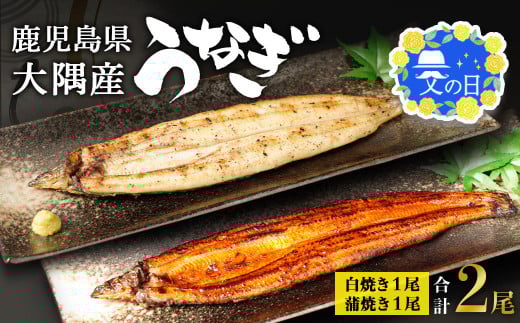 【父の日】鹿児島県大隅産 千歳鰻の白焼1尾・蒲焼き1尾 合計2尾セット(1尾110g~130g) 2093055 - 鹿児島県大崎町