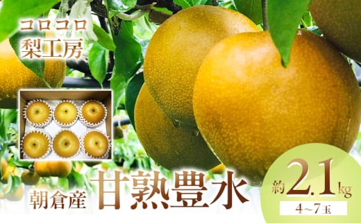梨 豊水 まるで食べる梨ジュース!! 甘熟 豊水梨 約2.1kg 4〜7玉入 配送不可 離島