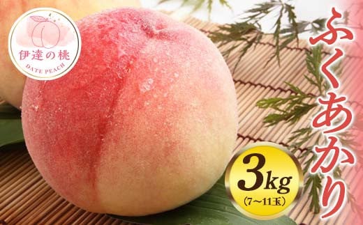 福島県産 ふくあかり 約3kg 2025年7月下旬～2025年8月上旬発送 先行予約 予約 伊達の桃 桃 もも モモ 果物 くだもの フルーツ 国産 食品 F20C-553 299387 - 福島県伊達市