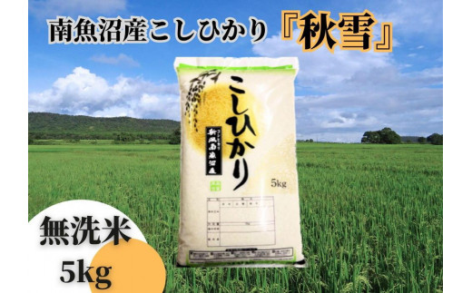 【令和7年産 新米予約】南魚沼産こしひかり「秋雪」無洗米５ｋｇ 新潟県の特A地区南魚沼市の美味しいお米【2025年（令和7年）10月上旬より順次発送予定】【米 お米 こしひかり 南魚沼 米 無洗米 こめ 新潟 米】 982623 - 新潟県南魚沼市