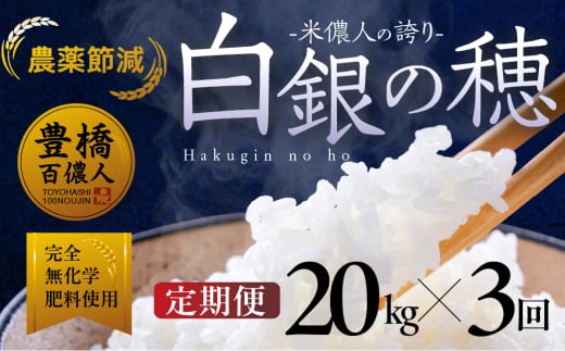【定期便】米儂人の誇り 白銀の穂 20kg×3回 お米 おこめ 米 コメ kome 令和7年 2058181 - 愛知県豊橋市