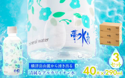 ミネラルウォーター夢水氣(290ml×40本)3セット 天然アルカリイオン水 軟水 【ふるさと納税 人気 おすすめ ランキング 天然アルカリイオン水 天然水 ミネラルウォーター 横津岳山麓 北海道 七飯町 送料無料】 NAL005 2092914 - 北海道七飯町