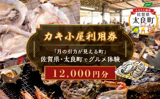 【カキ小屋利用券】「月の引力が見える町」佐賀県・太良町でグルメ体験(12,000円分) QN4