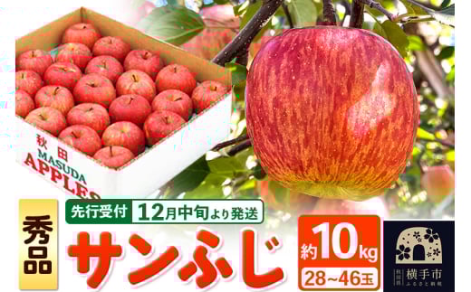 【先行受付】12月中旬より発送 サンふじ 【秀品】約10kg (28~46玉)りんご 林檎 1022678 - 秋田県横手市