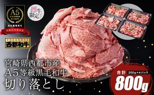 【最高品質のA5等級 西都和牛】黒毛和牛切り落とし 800g 小分け＜1.2-19＞【カミチクファーム】