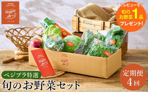 旬の新鮮なお野菜を産地直送！ベジプラ特選 旬の野菜セット【定期便：4回　春(5月)・夏(7月)・秋(11月)・冬(1月) 】 / 野菜 詰め合わせ セット 野菜セット 新鮮 ギフト やさい 苦みが少ない 甘みが強い Veggie de＋【野菜例：キャベツ 水菜 ミニトマト レタス とろり葱 ほうれん草等】【レビューキャンペーン中】 2082633 - 兵庫県豊岡市