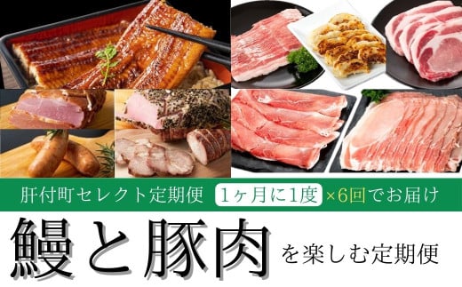 F90003 ＜定期便・全6回＞肝付町セレクト定期便《鰻と豚肉を楽しむ定期便》 鹿児島  豚肉 鹿児島県産 黒豚 鰻 とんかつ しゃぶしゃぶ ハム ウィンナー 定期便 セレクト  冷凍 冷凍食品 【株式会社きもつき未来商社そらまち】