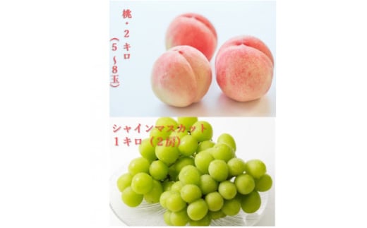 ＜発送月固定定期便＞桃5～8玉(2kg)・シャインマスカット2房(1kg以上)全2回【4066669】 2093334 - 山梨県山梨市