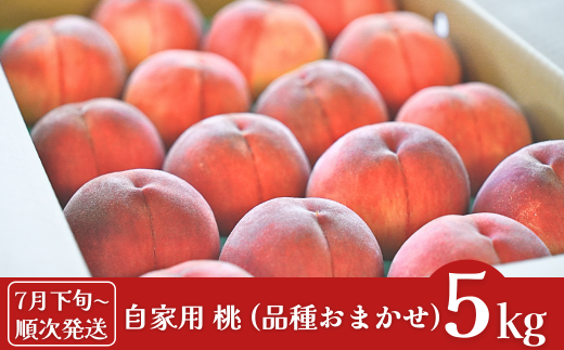 先行予約 桃 自家用 約5kg (11～18個入)  [2025年発送分] 令和7年産 新潟フルーツ 新潟県産桃 [石田フルーツガーデン] 【011P012】 911277 - 新潟県三条市