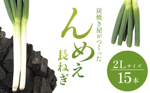 【2025年先行受付分】炭焼き屋がつくった んめぇ 長ねぎ 15本 2Lサイズ 七戸宏大《2025年9月中旬-12月上旬頃出荷》岩手県 九戸村 野菜 やさい ねぎ ネギ 葱 送料無料