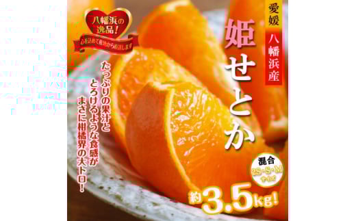 2026年2月発送開始　みずみずしい香り・柑橘の大トロ!「姫せとか」約3.5kg＜D39-60＞【1583778】 1931774 - 愛媛県八幡浜市