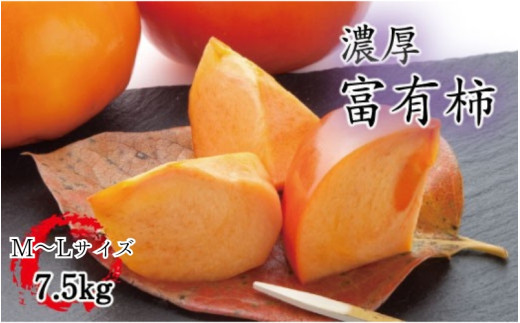 【秋の美味】【和歌山ブランド】 濃厚!富有柿　秀品　M～Lサイズ　約7.5kg入り ※2025年11月中旬頃～12月上旬頃順次発送予定 / かき カキ 柿 フルーツ 果物 人気 旬【ard013C】 1032068 - 和歌山県紀美野町