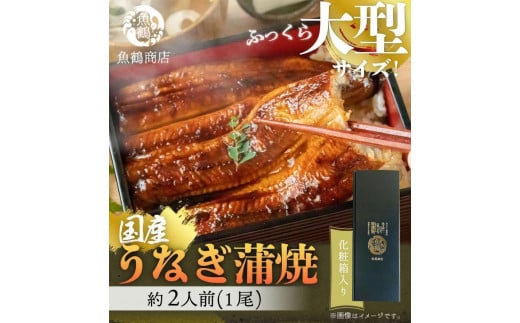 大型サイズ　ふっくら柔らか　国産うなぎ蒲焼き　１尾（約2人前）化粧箱入［夏土用の丑の日のうなぎ］［7月19日までにお届け］［UT04］ 1031433 - 和歌山県九度山町