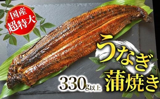 【うなぎの蒲焼き 国産 超特大 サイズ 1本（焼き後330g以上）冷凍】ご入金確認後、1～2ヶ月程度で発送いたします 国産 鰻 ウナギ うなぎ 蒲焼 かばやき タレ 山椒 ギフト お土産 ランキング 大人気 ふるさと納税 返礼品 兵庫県 香美町 香住 15000円 寿し工房 彌衛門 77-02　 2077676 - 兵庫県香美町
