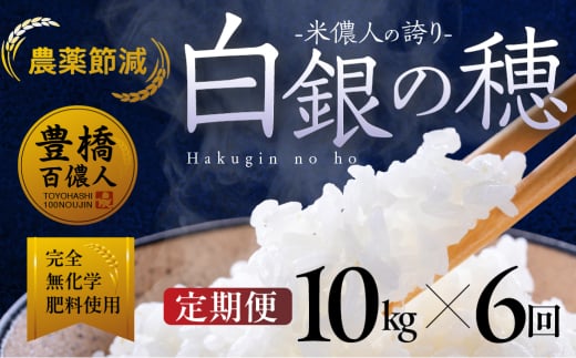【定期便】米儂人の誇り 白銀の穂 10kg×6回 お米 おこめ 米 コメ kome 令和7年 2058179 - 愛知県豊橋市