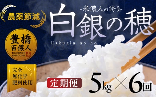 【定期便】米儂人の誇り 白銀の穂 5kg×6回 お米 おこめ 米 コメ kome 令和7年 2058176 - 愛知県豊橋市