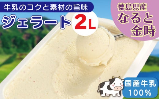 ジェラート 業務用 2L なると金時 アイスクリーム アイス デザート 鳴門金時 徳島県産 さつまいも さつま芋 野菜 芋 国産 牛乳 ミルク クリーム スイーツ 菓子 洋菓子 おやつ パーティー ギフト 徳島県 吉野川市
