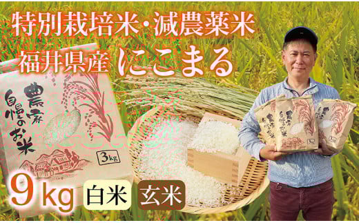 〈先行予約・新米〉にこまる 9kg(3kg×3袋) ／令和7年 福井県産 （玄米）2025年12月発送 少量サイズ便利