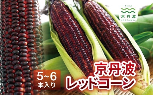 京丹波レッドコーン 5～6本入り 大和ルージュ京都 丹波 大粒 とうもろこし スイートコーン 高糖度 ※北海道・沖縄・その他離島への配送不可 [012NM002] 1432490 - 京都府京丹波町
