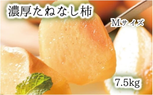 【和歌山ブランド】 濃厚たねなし柿　秀品　Mサイズ　約7.5kg入り ※2025年10月上旬頃～11月上旬頃次発送予定 / 種なし 種無し タネなし 柿 フルーツ 果物 人気 旬【ard011C】 1032066 - 和歌山県紀美野町