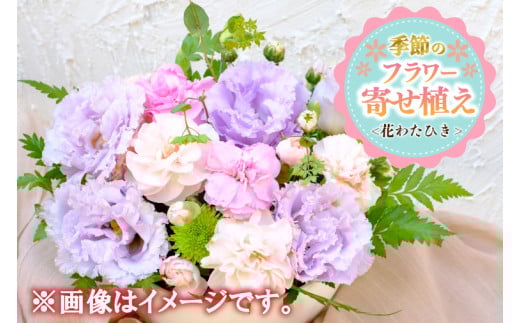 季節の寄せ植え<花わたひき> (BY002) 1129682 - 茨城県城里町