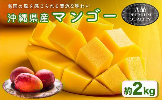 ハナトフルーツ 沖縄県産マンゴーA品 ２ｋｇ 【2025年発送】