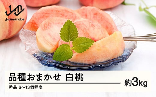 《先行予約》もも 桃 品種おまかせ 8月旬の白桃 秀品 約3kg (6～13個程度) 8月発送 山形県産 nf-mohtx3-8f 2006154 - 山形県山辺町