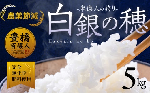 米儂人の誇り 白銀の穂 5kg お米 おこめ 米 コメ kome 令和7年 2031169 - 愛知県豊橋市