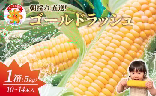 【先行予約】スイートコーン 約10kg（10～14本入り×2箱）冷蔵 とうもろこし 国産 朝採れ