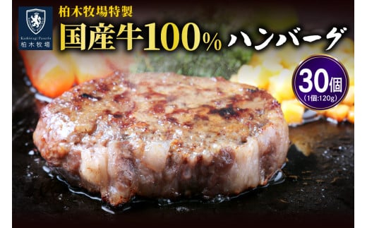 [ジュワッと肉汁まで美味い！] 柏木牧場特製 国産牛100%ハンバーグ (120g×30個)｜伊勢原市 牛肉 特製 ギフト 神奈川県 贈り物 人気 お土産 正月 肉の日 バーベキュー パーティ 冷凍便 惣菜 肉 焼くだけ [0069]