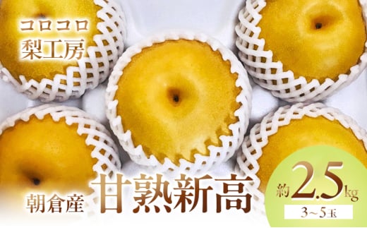 梨 新高梨 甘熟 味に自信あり!!約2.5kg 3〜5玉入 配送不可 離島