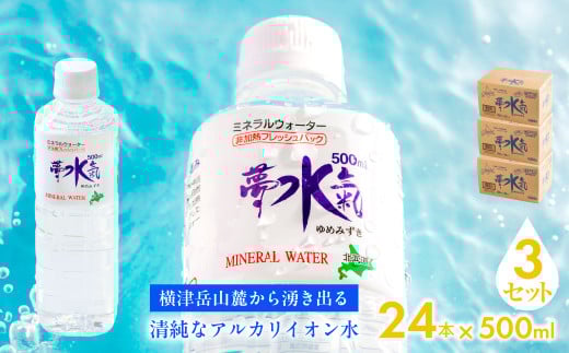ミネラルウォーター夢水氣(500ml×24本)3セット 天然アルカリイオン水 軟水 【ふるさと納税 人気 おすすめ ランキング 天然アルカリイオン水 天然水 ミネラルウォーター 横津岳山麓 北海道 七飯町 送料無料】 NAL009 2092918 - 北海道七飯町