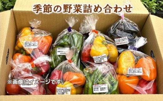 おがわ農園　季節野菜の詰め合わせ ／ セット サラダ 千葉県 特産品