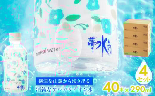 ミネラルウォーター夢水氣(290ml×40本)4セット 天然アルカリイオン水 軟水 【ふるさと納税 人気 おすすめ ランキング 天然アルカリイオン水 天然水 ミネラルウォーター 横津岳山麓 北海道 七飯町 送料無料】 NAL006 2092915 - 北海道七飯町