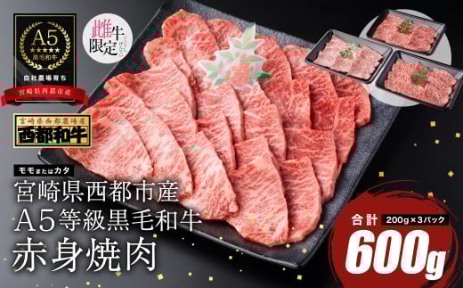 【最高品質のA5等級 西都和牛】黒毛和牛赤身焼肉 600g ＜1.4-6＞【カミチクファーム】
